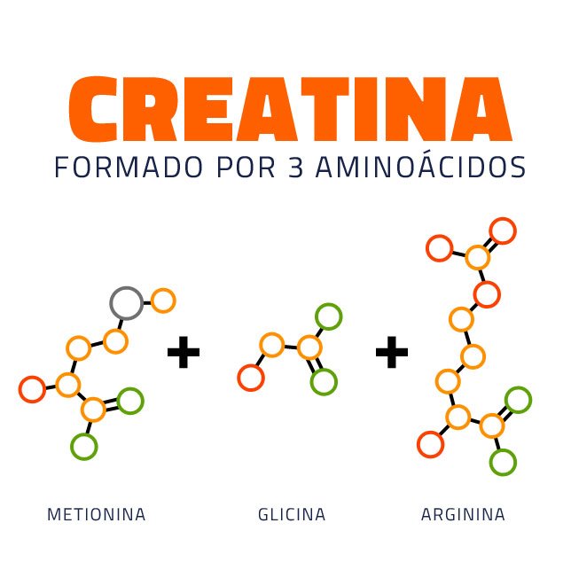 Dezoito marcas de creatina são reprovadas em estudo da Abenutri